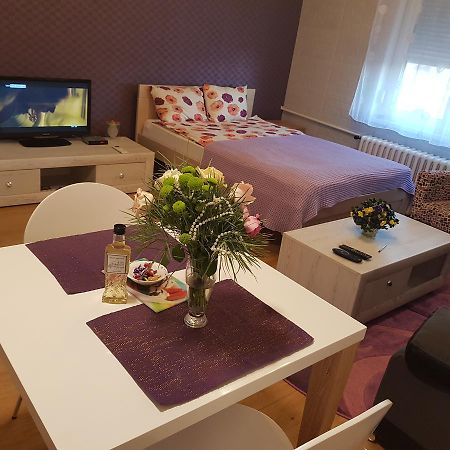 Sara - Modern Apartment In The City Center Novi Sad Bagian luar foto