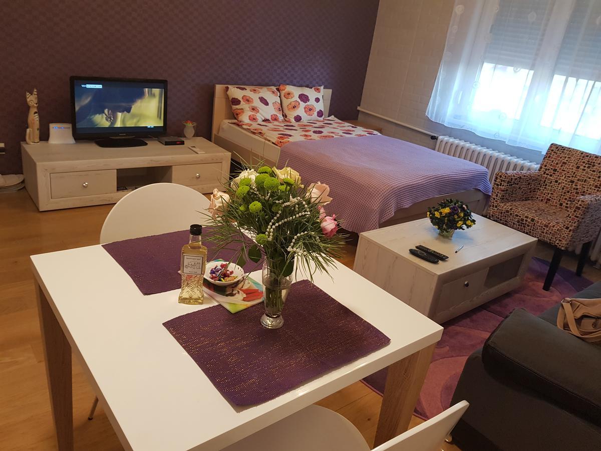 Sara - Modern Apartment In The City Center Novi Sad Bagian luar foto